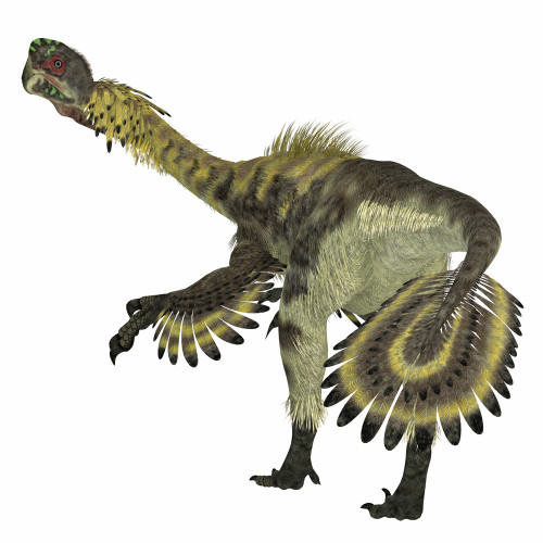 Citipati dinosaur, rear view. Poster Print by Corey Ford/Stocktrek Images - Item # VARPSTCFR601132P