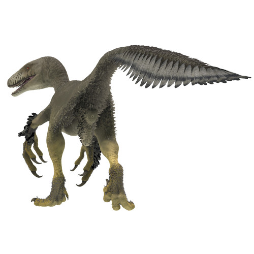 Dakotaraptor dinosaur, rear view. Poster Print by Corey Ford/Stocktrek Images - Item # VARPSTCFR601145P
