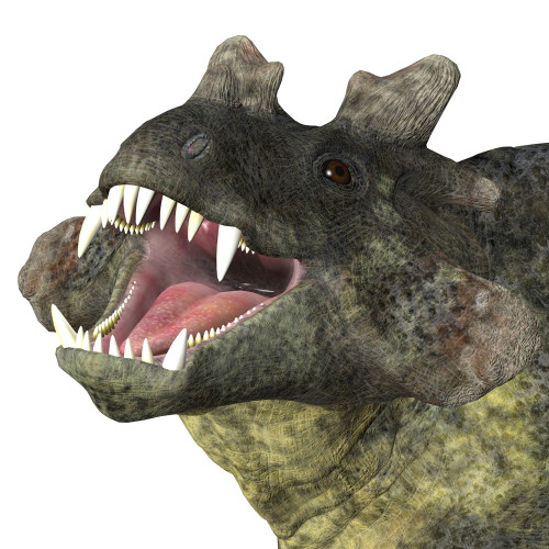 Estemmenosuchus dinosaur head. Poster Print by Corey Ford/Stocktrek Images - Item # VARPSTCFR601146P