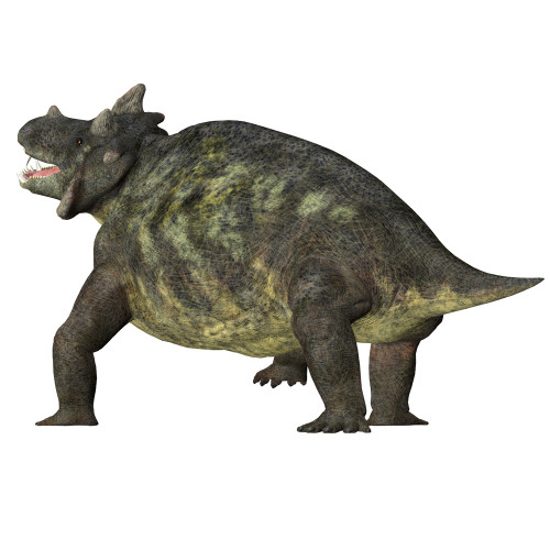 Estemmenosuchus dinosaur, rear view. Poster Print by Corey Ford/Stocktrek Images - Item # VARPSTCFR601149P