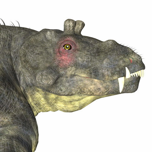 Estemmenosuchus dinosaur head. Poster Print by Corey Ford/Stocktrek Images - Item # VARPSTCFR601150P