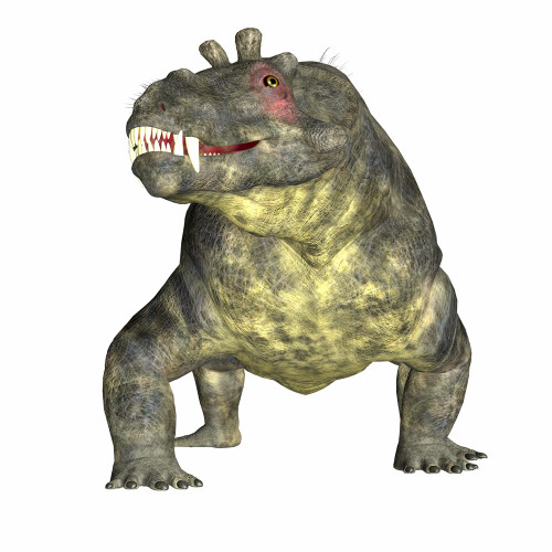 Estemmenosuchus dinosaur, front view. Poster Print by Corey Ford/Stocktrek Images - Item # VARPSTCFR601151P