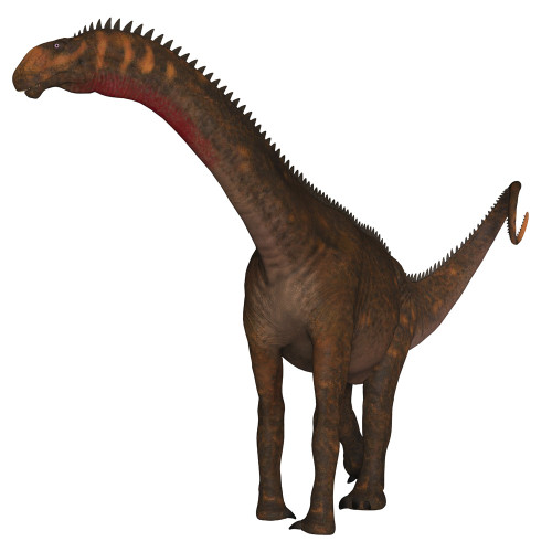 Mierasaurus dinosaur on white background. Poster Print by Corey Ford/Stocktrek Images - Item # VARPSTCFR601175P Mierasaurus dinosaur on white background. Poster Print by Corey Ford/Stocktrek Images - Item # VARPSTCFR601175P
