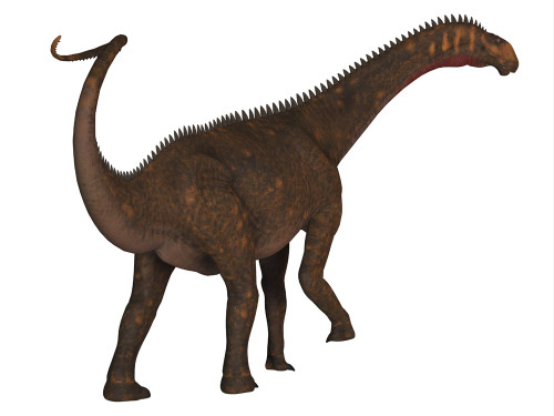 Mierasaurus dinosaur, rear view. Poster Print by Corey Ford/Stocktrek Images - Item # VARPSTCFR601177P