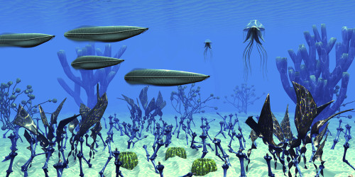 Four Pikaia predatory arthropods search for prey in Cambrian Seas. Poster Print by Corey Ford/Stocktrek Images - Item # VARPSTCFR601195P