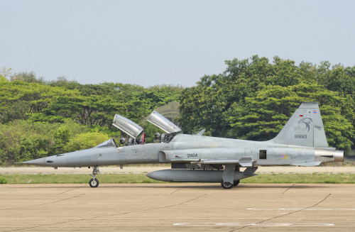 Royal Thai Air Force F-5F during Exercise Cope Tiger 2017 in Thailand. Poster Print by Giovanni Colla/Stocktrek Images ( - Item # VARPSTGCA100781M