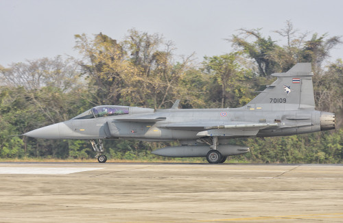 Royal Thai Air Force Saab Jas-39 Gripen during Exercise Cope Tiger 2016. Poster Print by Giovanni Colla/Stocktrek Images - Item # VARPSTGCA100850M