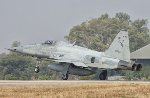 Royal Thai Air Force F-5F during Exercise Cope Tiger 2016 in Thailand. Poster Print by Giovanni Colla/Stocktrek Images ( - Item # VARPSTGCA100872M