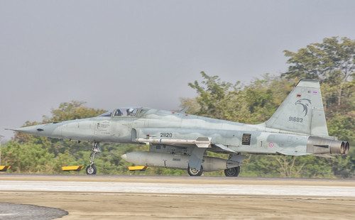 Royal Thai Air Force F-5F during Exercise Cope Tiger 2016 in Thailand. Poster Print by Giovanni Colla/Stocktrek Images ( - Item # VARPSTGCA100876M