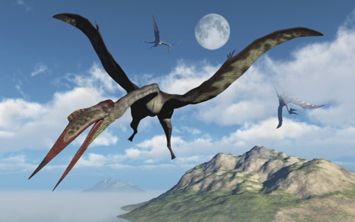 Mesosaurus Dinosaur Jumping by Elena Duvernay