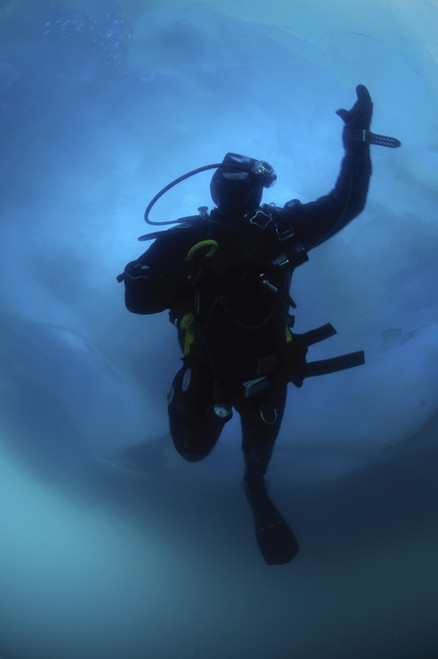 Diver by iceberg, west coast, Greenland. Poster Print by Morten Beier/Stocktrek Images - Item # VARPSTMBE400024U