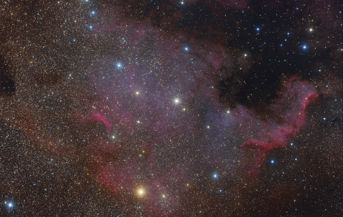 North America nebula complex. Poster Print by Roberto Colombari/Stocktrek Images - Item # VARPSTRCM200106S