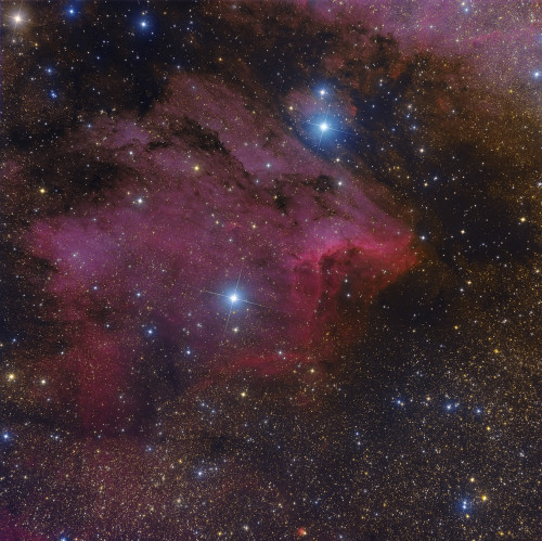 The Pelican Nebula. Poster Print by Roberto Colombari/Stocktrek Images - Item # VARPSTRCM200110S