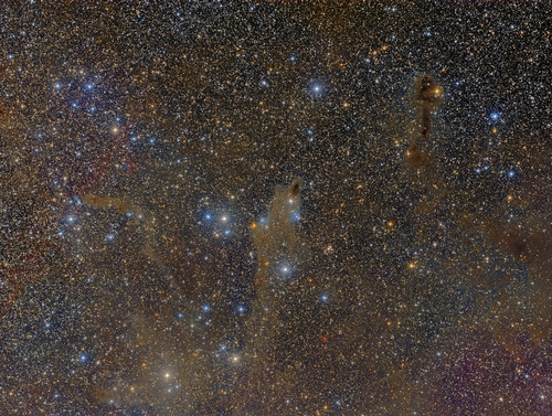 The Cepheus constellation showing the Shark Nebula, reflection nebula and molecular clouds. Poster Print by Roberto Colo - Item # VARPSTRCM200115S