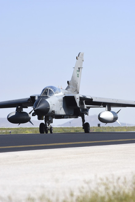 Royal Saudi Air Force Tornado IDS taxiing. Poster Print by Riccardo Niccoli/Stocktrek Images - Item # VARPSTRCN100456M Royal Saudi Air Force Tornado IDS taxiing. Poster Print by Riccardo Niccoli/Stocktrek Images - Item # VARPSTRCN100456M