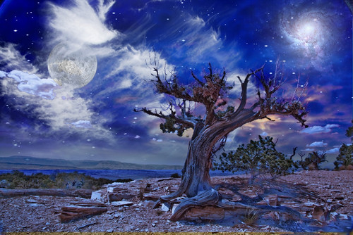Desert Landscape Poster Print by Bruce Rolff/Stocktrek Images - Item # VARPSTRFF200181S