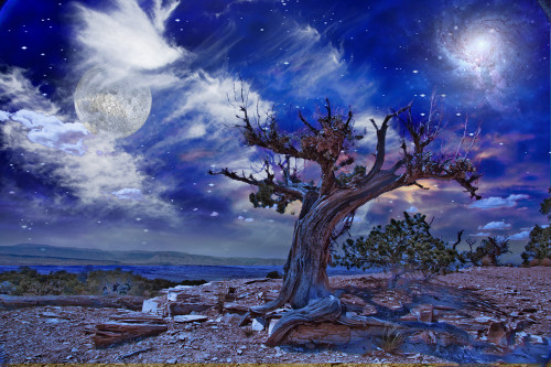 Desert Landscape Poster Print by Bruce Rolff/Stocktrek Images - Item # VARPSTRFF200181S