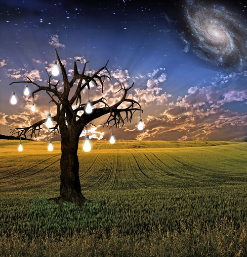 Idea tree landscape. Light Bulbs represents ideas Poster Print by Bruce Rolff/Stocktrek Images - Item # VARPSTRFF200235S