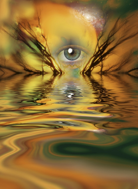 Eye and branches of tree Poster Print by Bruce Rolff/Stocktrek Images - Item # VARPSTRFF200992S