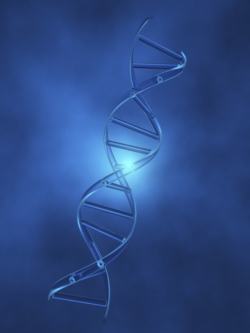 DNA Strand Poster Print by Bruce Rolff/Stocktrek Images - Item # VARPSTRFF700005H