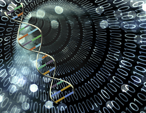 Binary tunnel and DNA Strand Poster Print by Bruce Rolff/Stocktrek Images - Item # VARPSTRFF700050H