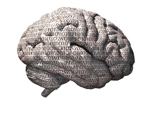 Binary brain Poster Print by Bruce Rolff/Stocktrek Images - Item # VARPSTRFF700061H
