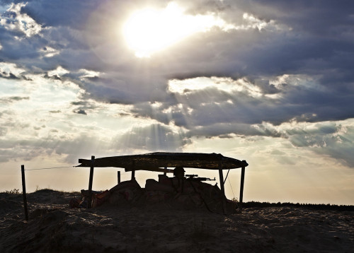 Silhouette of U.S. soldier with rifle against the sunset. Poster Print by Oleg Zabielin/Stocktrek Images - Item # VARPSTZAB100200M