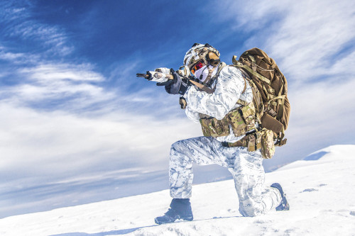 Army soldier shooting weapon in the arctic. Poster Print by Oleg Zabielin/Stocktrek Images - Item # VARPSTZAB102564M