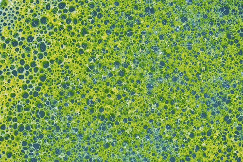 Foamy texture Poster Print by Lisa Engelbrecht