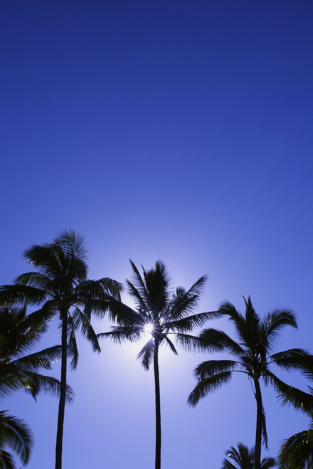 Poster Print by Kicka Witte / Design Pics - Item # VARDPI2087124