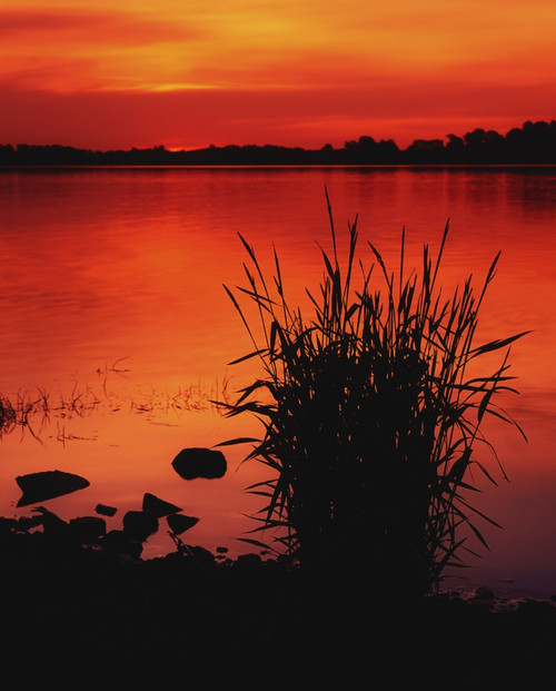 Ireland, Sunset On Lake Poster Print by The Irish Image Collection / Design Pics