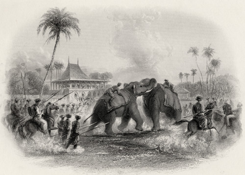 An Elephant Fight From A 19Th Century Print Poster Print by Ken Welsh / Design Pics - Item # VARDPI1860722