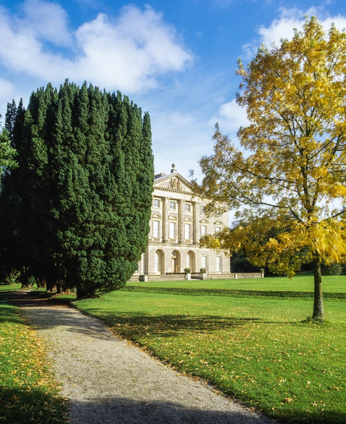 Castle Ward, Co Down, Ireland Poster Print by The Irish Image Collection / Design Pics - Item # VARDPI1812909