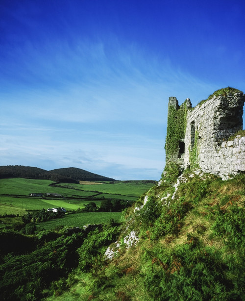 Dunamase Castle, Co Laois, Ireland Poster Print by The Irish Image Collection / Design Pics - Item # VARDPI1808803