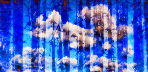 Birch trees with blue hues, digital painting Poster Print by 770 Productions / Design Pics - Item # VARDPI12512547