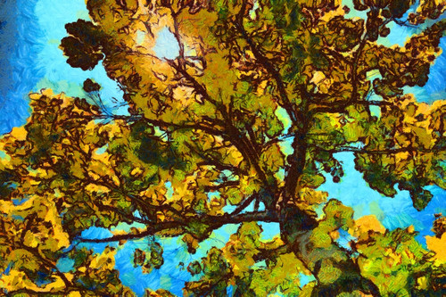 Large tree with paint effect; Alberta, Canada Poster Print by 770 Productions / Design Pics - Item # VARDPI12524389
