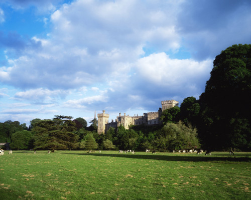 Lismore Castle, Co Waterford, Ireland Poster Print by The Irish Image Collection / Design Pics - Item # VARDPI1807135