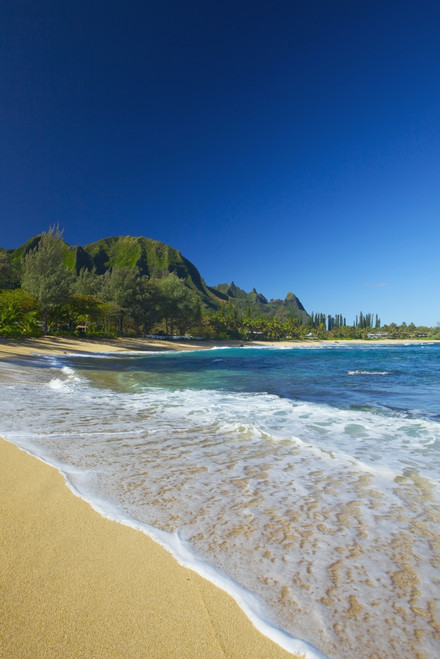 Tunnels Beach; Kauai, Hawaii, United States Of America Poster Print by Kicka Witte / Design Pics - Item # VARDPI2414350