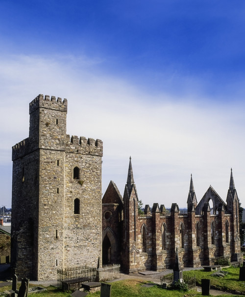 St Selskar's Abbey, Co Wexford, Ireland Poster Print by The Irish Image Collection / Design Pics - Item # VARDPI1815892