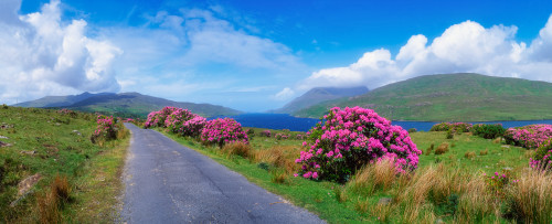 Killary Harbour, County Galway, Ireland Poster Print by The Irish Image Collection / Design Pics - Item # VARDPI1813280