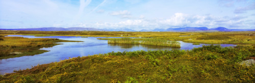 Marshland, Connemara, County Galway, Ireland Poster Print by The Irish Image Collection / Design Pics - Item # VARDPI1807223