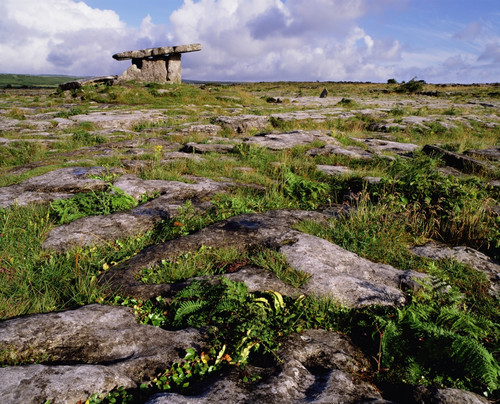 The Burren, Portal Dolmen, Co. Clare, Ireland Poster Print by The Irish Image Collection / Design Pics - Item # VARDPI1799437