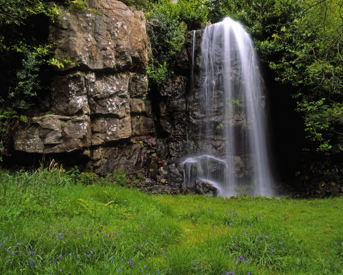 Waterfall, Kilfane Glen, Co Kilkenny, Ireland Poster Print by The Irish Image Collection / Design Pics - Item # VARDPI1798278