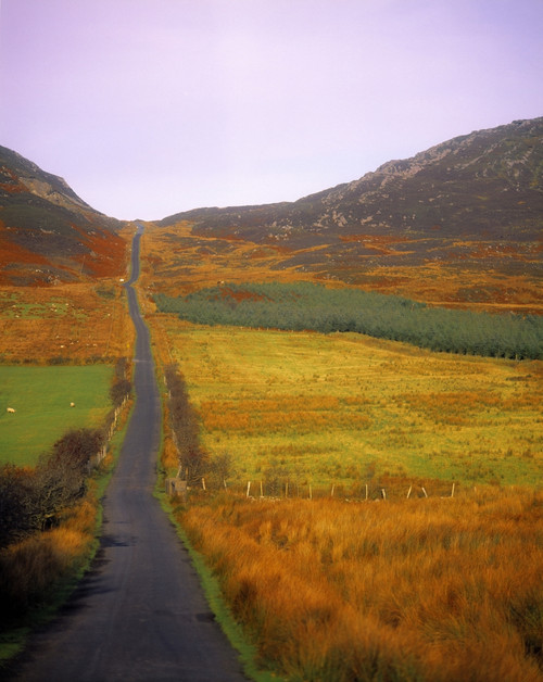 Gap Of Mamore, Inishowen, Co Donegal, Ireland Poster Print by The Irish Image Collection / Design Pics
