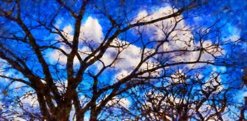 Digital painting of trees against a blue sky with cloud Poster Print by 770 Productions / Design Pics - Item # VARDPI12512568
