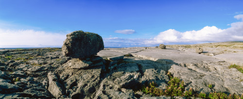 Limestone Pavement, The Burren, Co Clare, Ireland Poster Print by The Irish Image Collection / Design Pics - Item # VARDPI1813444