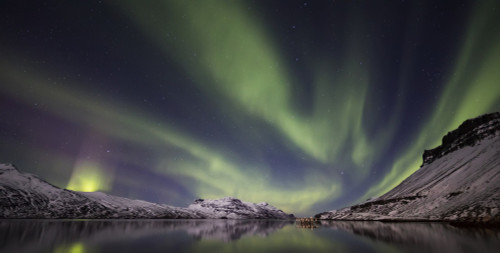 Aurora Borealis, or Northern lights; Djupavik, West Fjords, Iceland Poster Print by Robert Postma / Design Pics - Item # VARDPI12530946