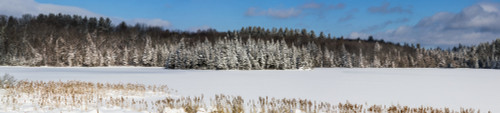 A field and trees covered with snow under a blue sky; Quebec, Canada Poster Print by David Chapman / Design Pics - Item # VARDPI12521676