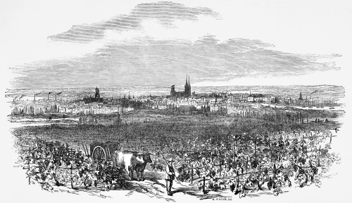 The Illustrated London News Etching From 1854. City Of Bordeaux, France Poster Print by John Short / Design Pics - Item # VARDPI12331206