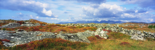 Twelve Bens, Connemara, Co Galway, Ireland; Rocky Landscape Poster Print by The Irish Image Collection / Design Pics - Item # VARDPI1804602